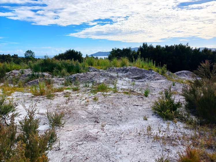 104 Stratford Drive Cable Bay_12