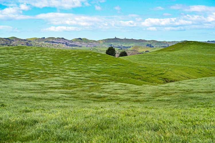 2152 Puketitiri Road Central Hawkes Bay Coastal_26