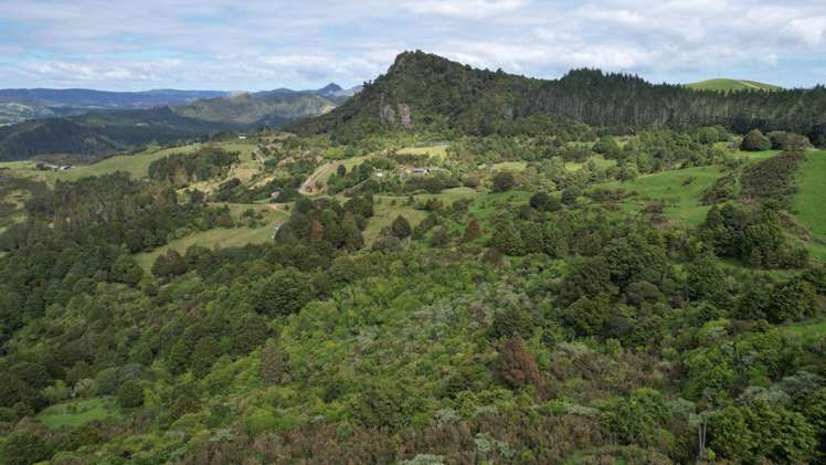 State Highway 10 Kaeo_10