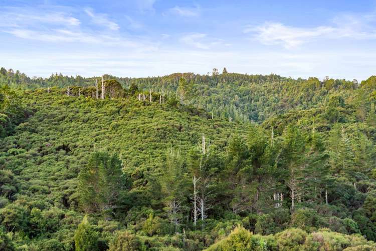 320 Upper Waiwera Road Puhoi_32