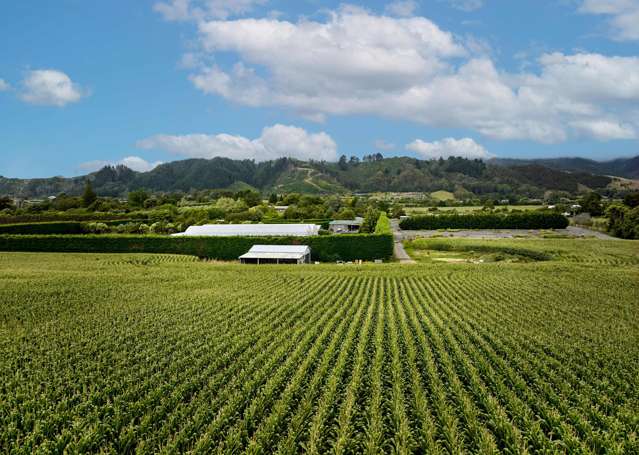1200 State Highway 1 Manakau_3