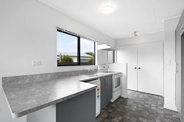 9 Metro Avenue Nawton_4