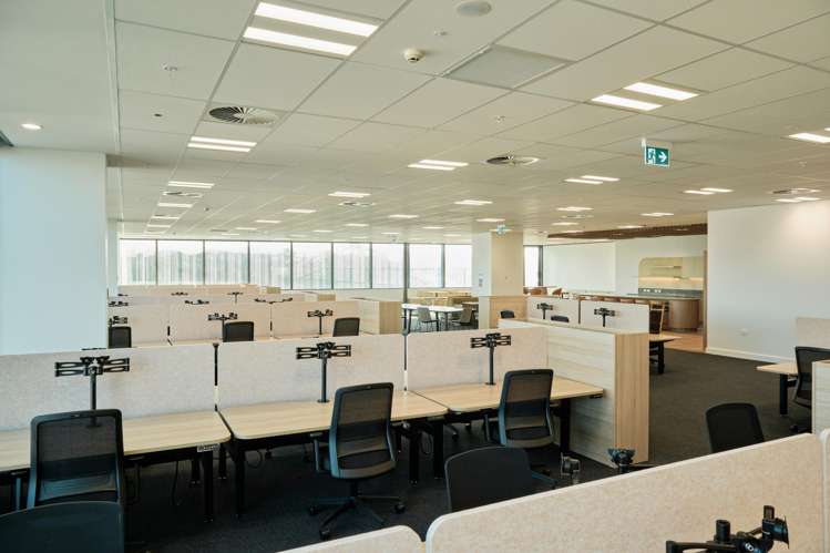 Office 3/6 Munroe Lane Albany_6