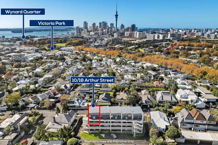 10/18 Arthur Street Freemans Bay_16