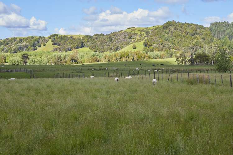 869 Woodcocks Road Kaipara Flats_21