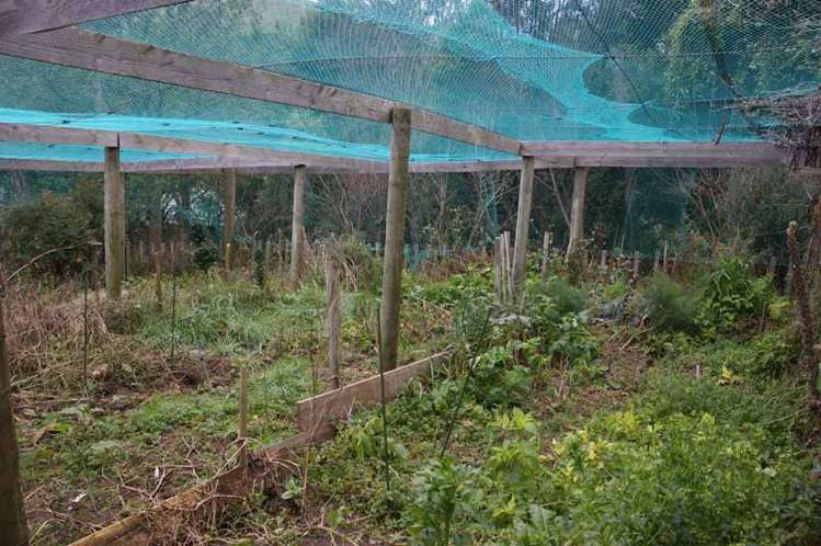 46 Morrisons Road Little River_18