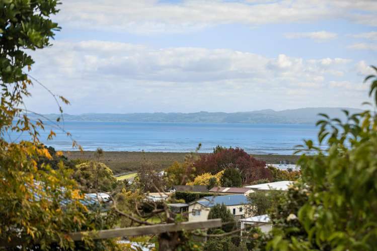 404 Millington Place Thames_21