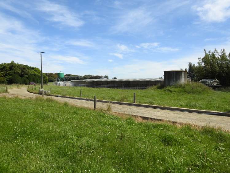 45 Rimu Seaward Downs Road Wyndham Surrounds_12