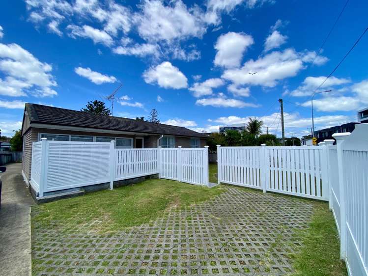 241 Lake Road Northcote_14