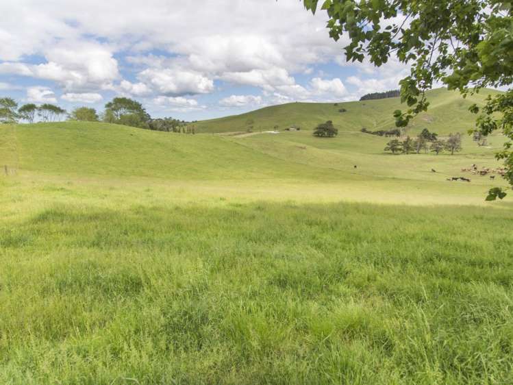 78 Morrison Road Arapohue_6