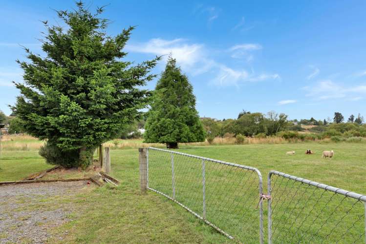 15 Sinclair Avenue Nightcaps_18