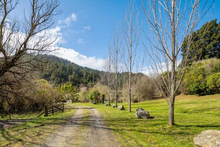 343 Onamalutu Road Wairau Valley_2