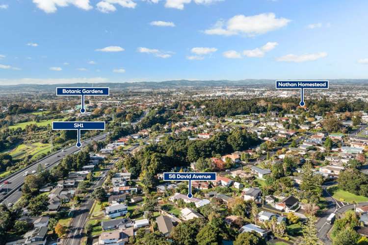 56 David Avenue Hillpark_28