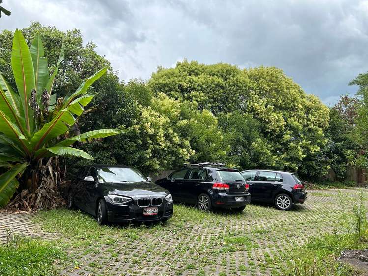 3/36 Scanlan Street Grey Lynn_9