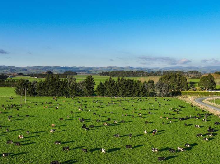 846 Pioneer Highway + 116 and 172 Ota Creek Road Edendale_19