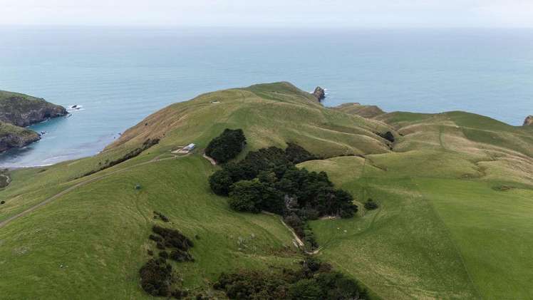 203 Paua Bay Road Akaroa_5