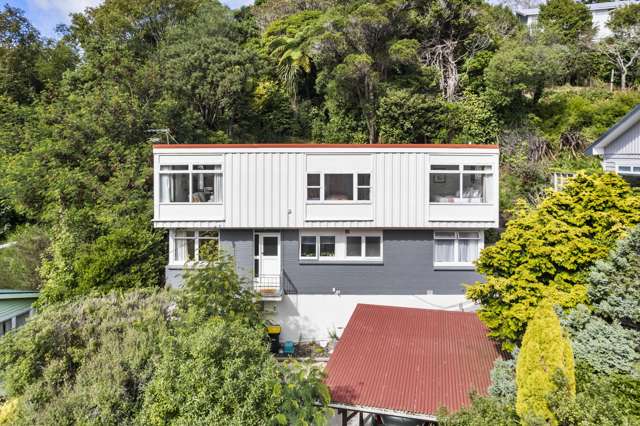Light Filled Ngaio Home & Income
