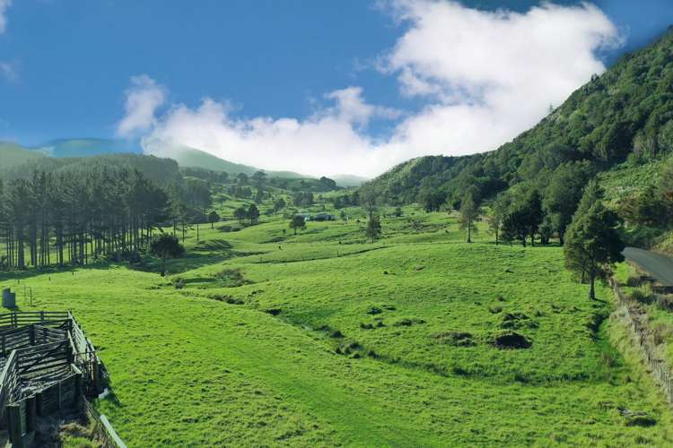 2288 Waihue Road Dargaville Surrounds_1