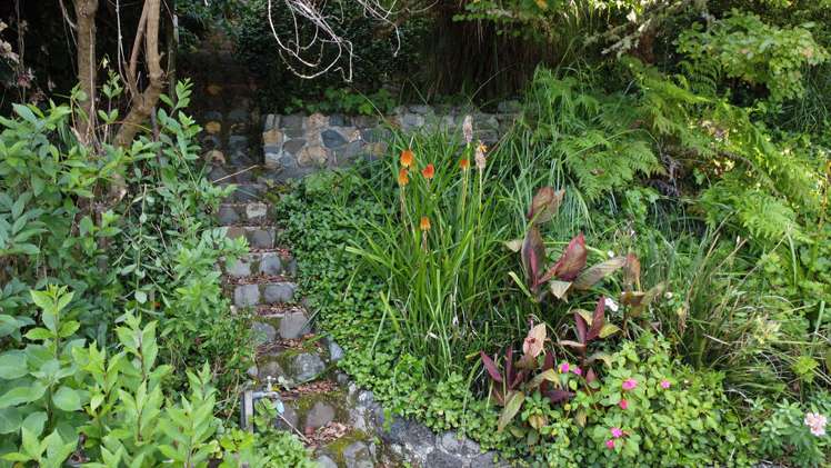 25 Creagh Street Tapu_6