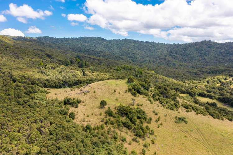 168 Moewai Road Whitianga_23