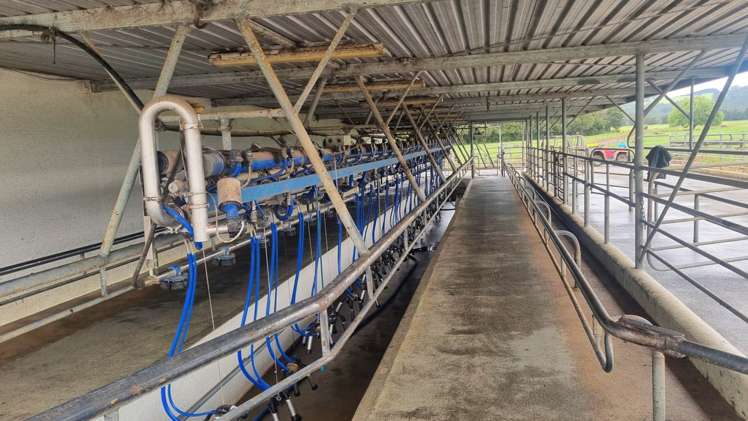 268 Punakitere Road Kaikohe_11