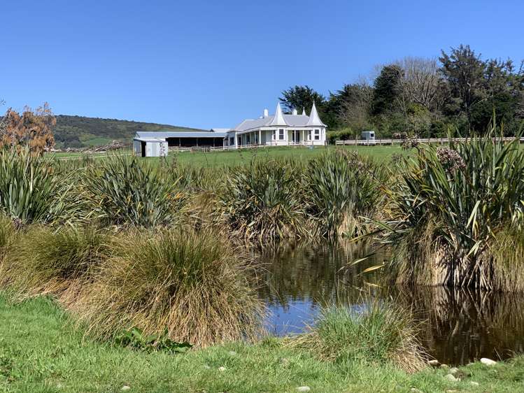 95 Frentz Road Pahia_5