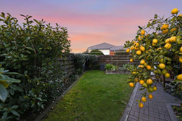177 Grenada Street Mount Maunganui_25