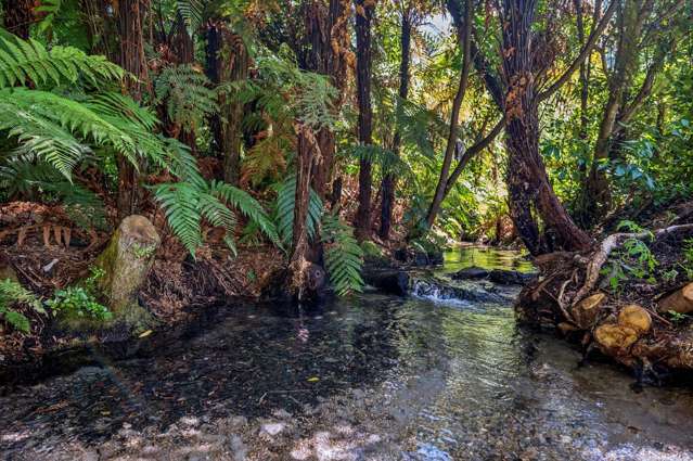 483 Spencer Road Lake Tarawera_2