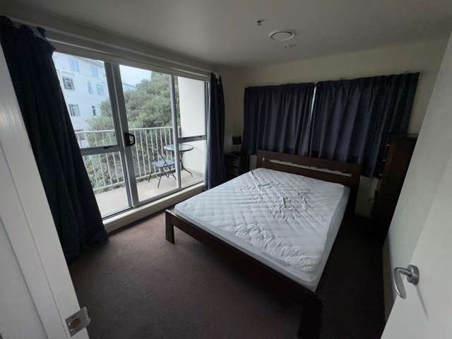 511/8 Ronayne Street Auckland Central_2