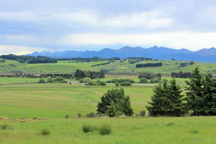 105 Lynwood Road New Lynn_11