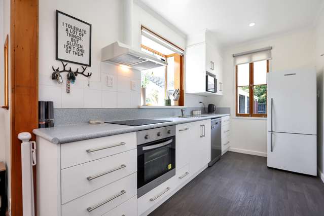 18 Harrison Street Allenton_2