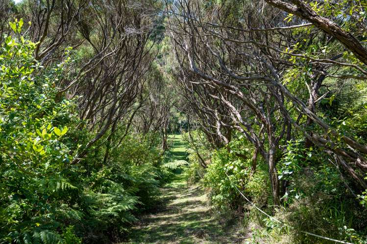 106 Landowners Lane Tutukaka_15