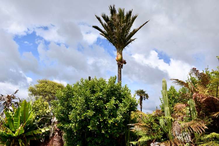 13 Wharf Road Karamea_21