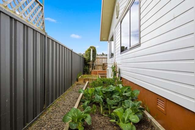 418B Ngatai Road Bellevue_2