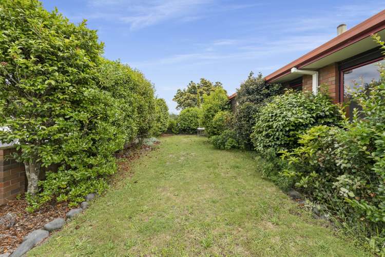 2 Waitui Grove Mount Maunganui_8