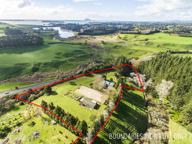 25b Youngson Road Whakamarama_2