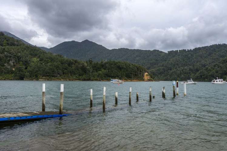 11 Matai Street Duncan Bay_28