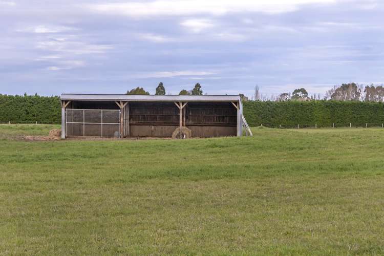 159 Larcombs Road Rolleston_17