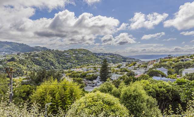 5 Margaret Street Wadestown_2