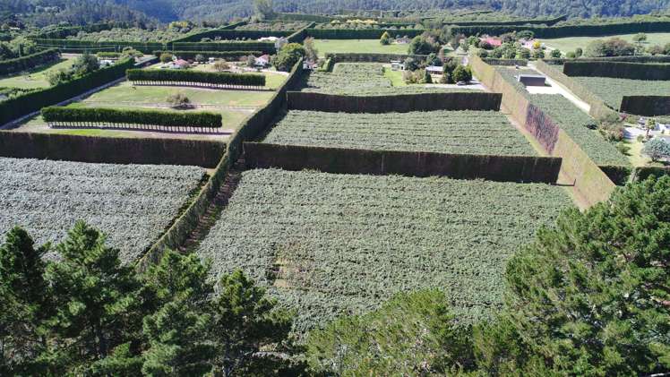 560 Belk Road Kaimai_2