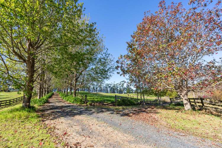 253 Attwood Road Ruatangata_23