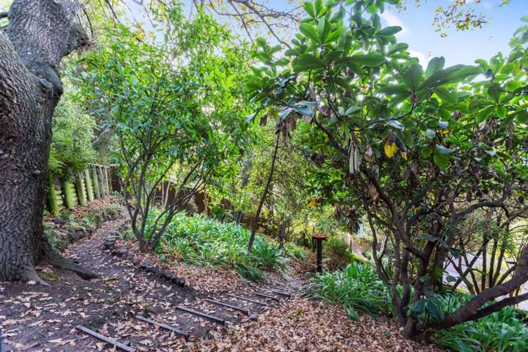 66 Landsdowne Terrace Cashmere_15