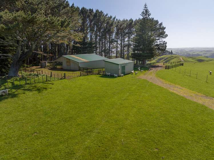 45 Te Akau Coast Road Te Akau_25