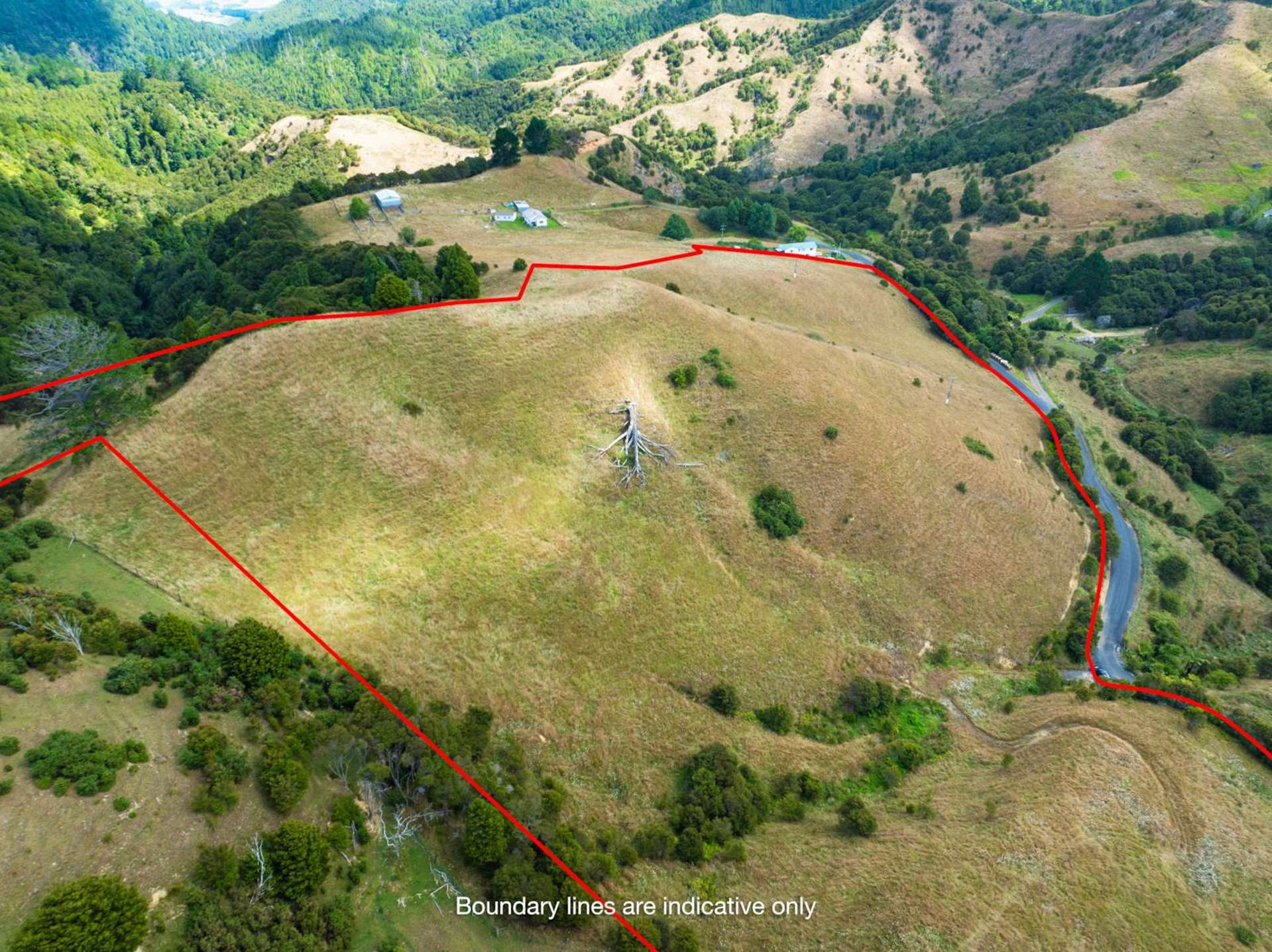 121 Aley Road Mangatawhiri_0