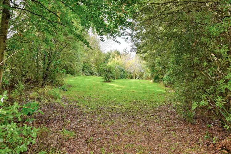 28 Mandeville Road Winton Surrounds_14