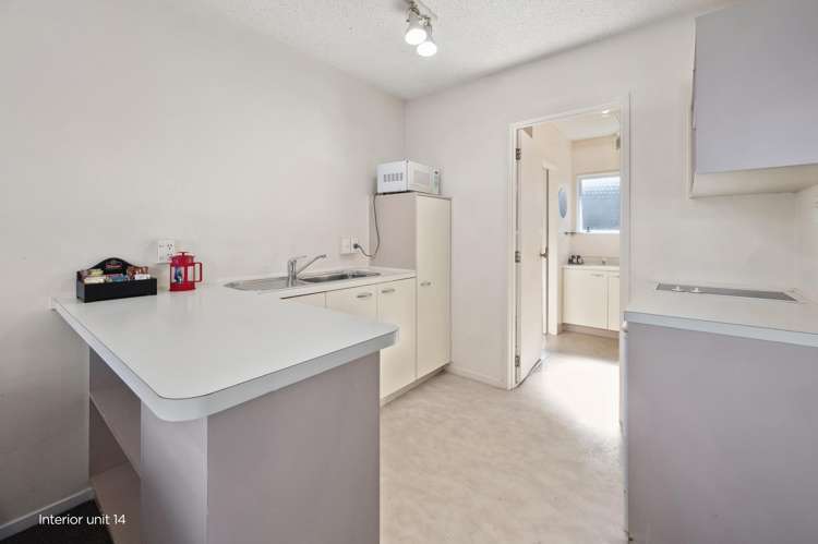 6 and 14/102 Tamamutu Street_4