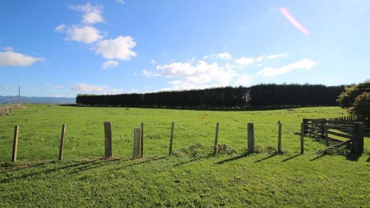 191 Gow Road Edgecumbe_10