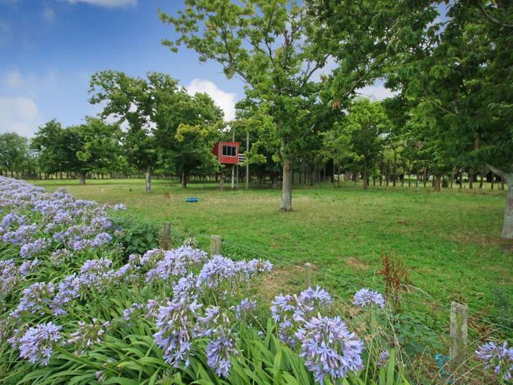 1414 Napier Road Ashhurst_11