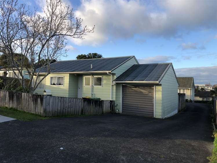 15 Christmas Road Manurewa_0