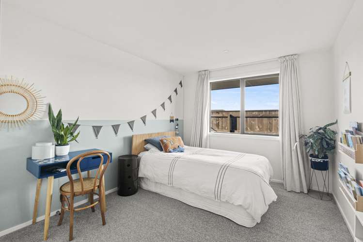 39 George Street Bulls_19